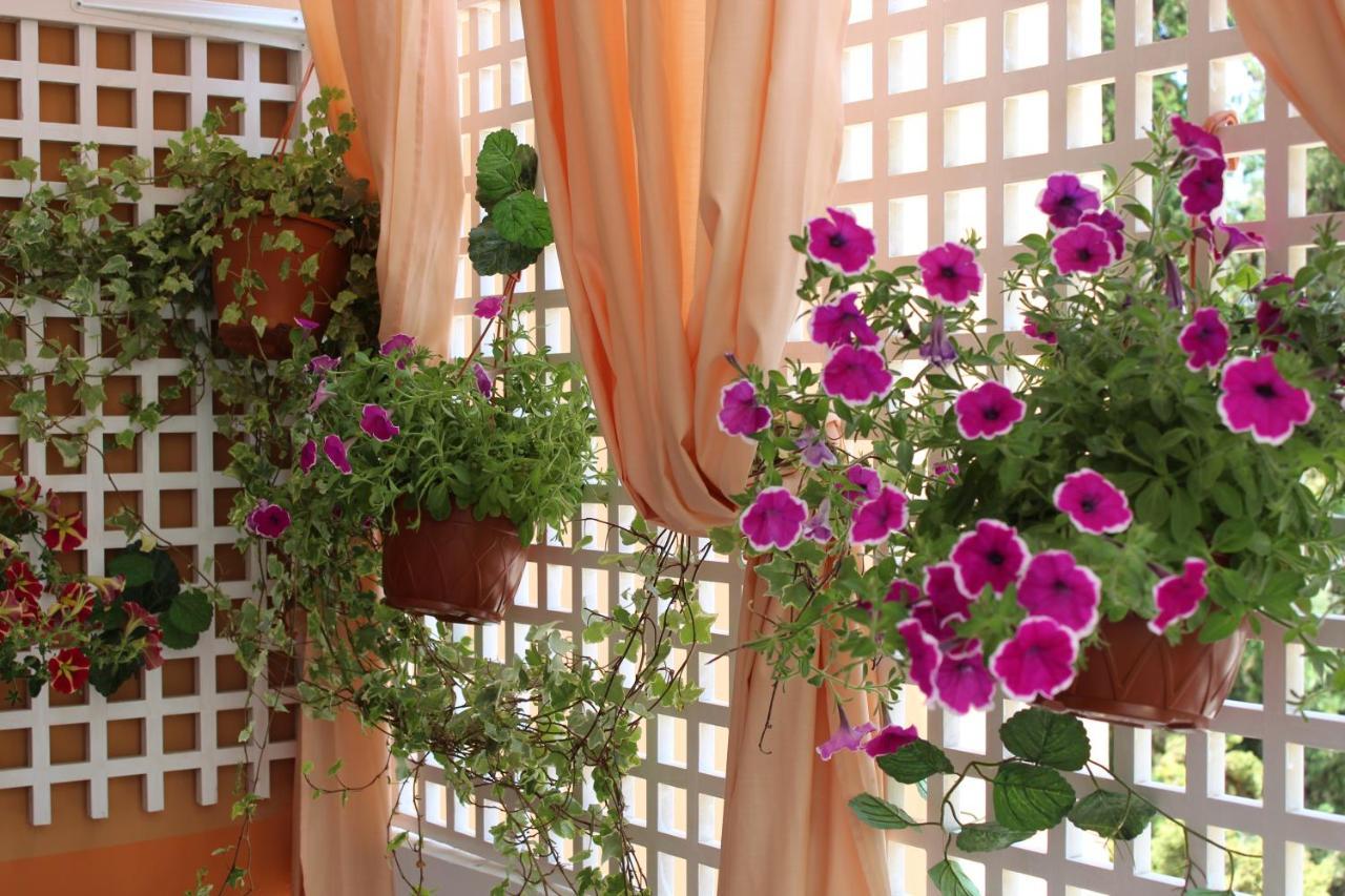 Aegean Dreams Flat Appartement Chania (Crete)